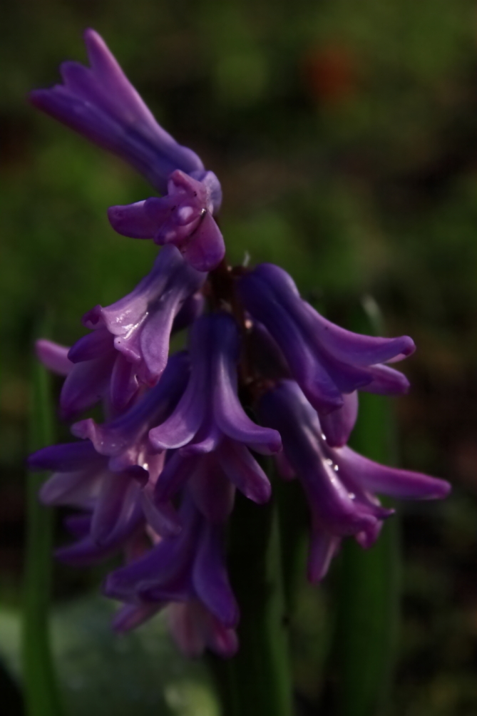 2011 04 14 IMG 27902
